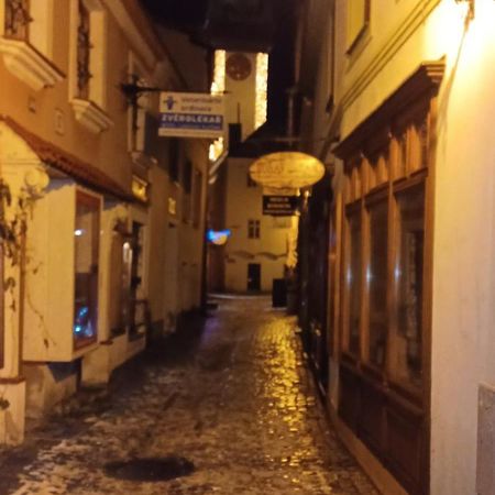 Apartman Pod Hradem Znojmo Extérieur photo